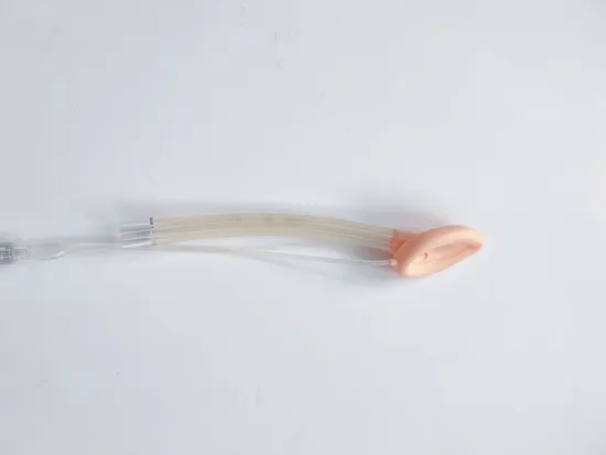 Disposable PVC Laryngeal Mask Nasopharyngeal Airway Silicone PVC Lma Laryngeal Mask Airway 